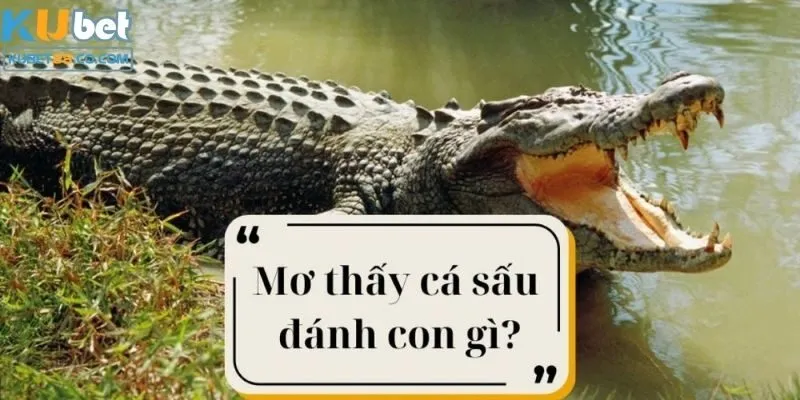 Mơ cá sấu thì nên đánh con số nào?&nbsp;